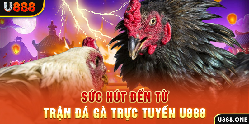 rr 88 đá gà trực tiếp c1