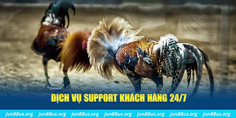 rr 88 ÁT CHỦ BÀI GIÀNH LẤY ZHUANG NIUNIU ( XEM 4 LÁ )