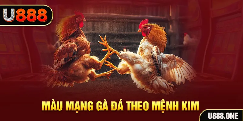 rr 88 Cỡ bảy
