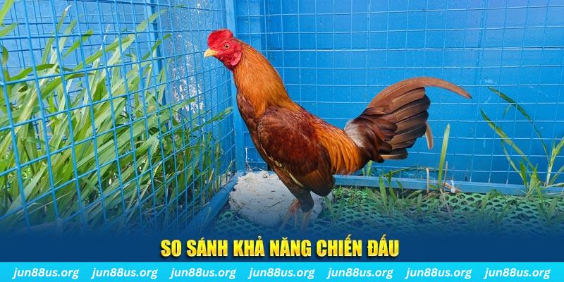 rr 88 CQ9 Điện Tử