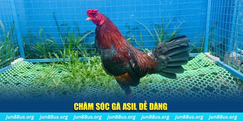 rr 88 game bài là gì