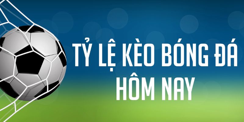 rr 88 gà chọi c1 mới nhất