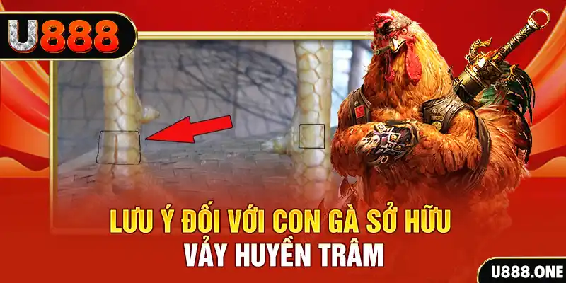 rr 88 kết quả xổ số miền nam hôm nay